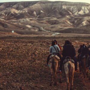 Horseback Riding Excursion