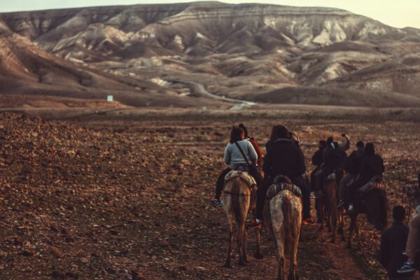 Horseback Riding Excursion